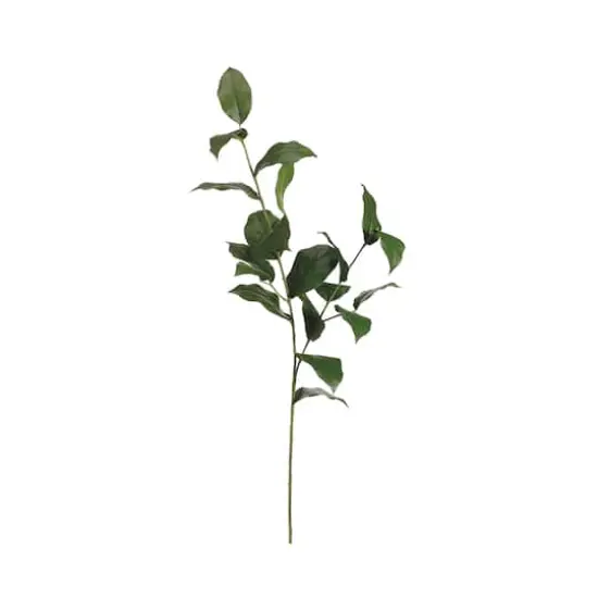 Lemon Leaf Spray {1}