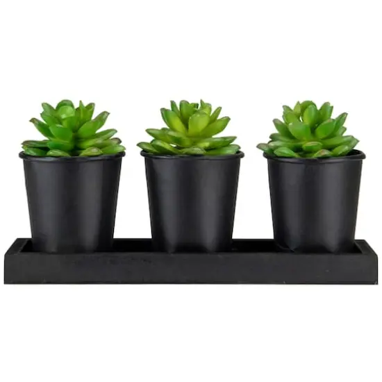10" Potted Succulents with Wood Planter Set {1}