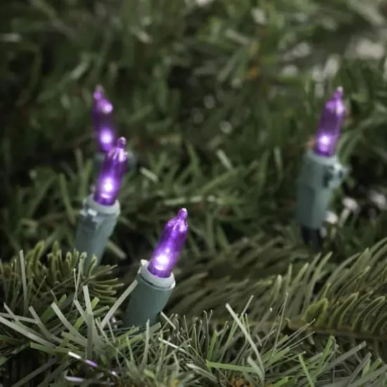 100ct. LED Mini Christmas Lights With Green Wire Purple {6}