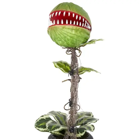 46" Venus Flytrap in Black Urn by Ashland® {3}