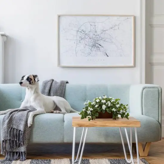 18'' White Bougainvillea Plant in Brown Planter {4}