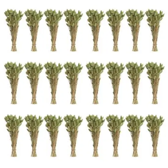 Hello Honey&reg; 15" Dried Natural Bunny Tail Grass Bunches, 24ct. {1}