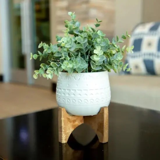 Flora Bunda&reg; 4.7" Eucalyptus in Matte White Mayan Ceramic Pot on Wood Stand {4}