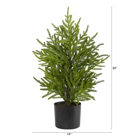 2ft. Unlit Norfolk Island Pine Artificial Potted Christmas Tree {3}