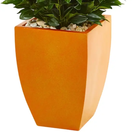5ft. Bay Leaf Topiary Tree in Orange Planter {4}