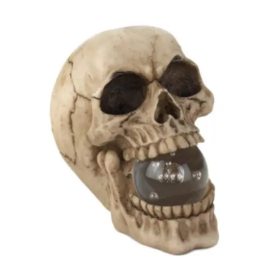 5" Realistic Human Skull with Light-Up Crystal Orb {1}