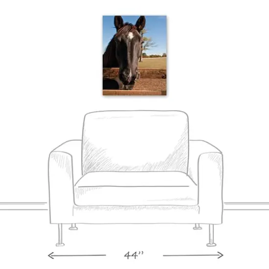 Horse Head 16" x 20" Canvas Wall Art {4}
