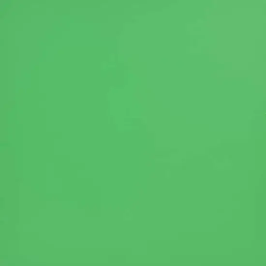 ORACAL&reg; 631 Removable Vinyl Light Green 062 {3}