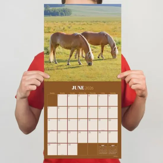 2026 Horses Wall Calendar {5}