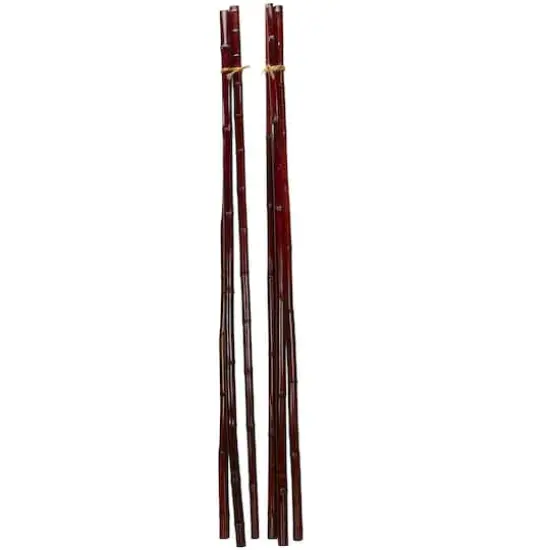 Brown Bamboo Poles, 6ct. {1}