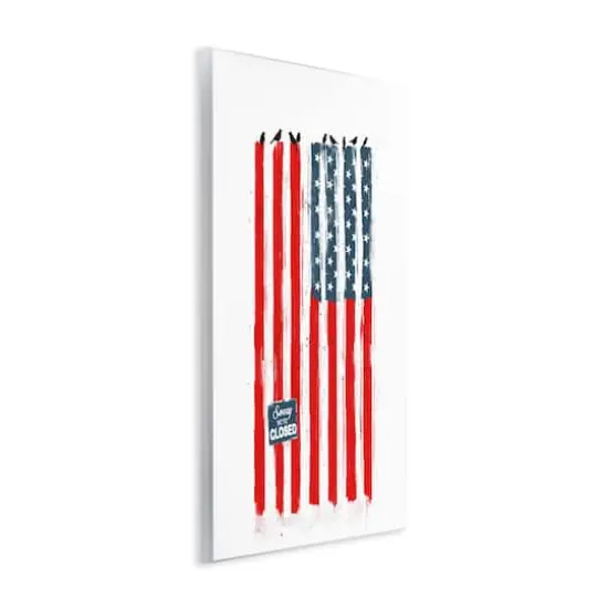 Stupell Industries American Flag Birds on Wall Political Statement Wall Plaque Art {4}