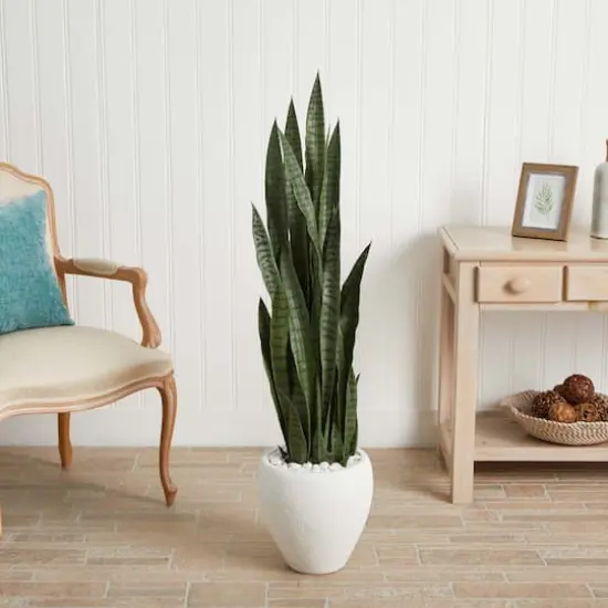 4.25ft. Sansevieria Plant in White Planter  {3}