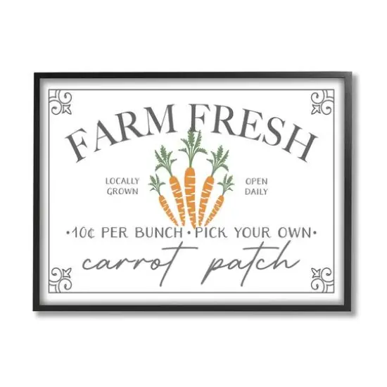 Stupell Industries Farm Fresh Carrot Patch Seasonal Springtime Vegetables Framed Giclee Art Black {1}