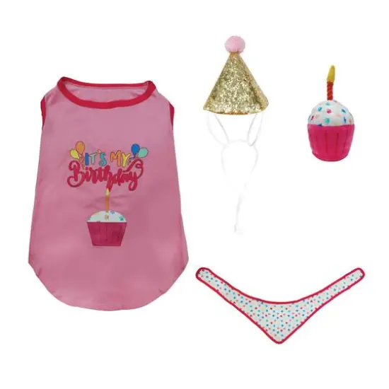 Best Furry Friends Birthday Girl Party Set {3}