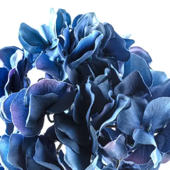 Navy Hydrangea Stem By Ashland&reg; {3}