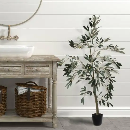 4ft. Potted Olive Tree {8}