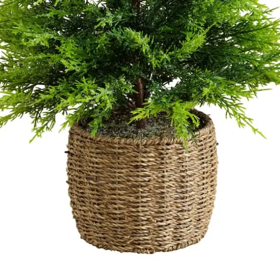 3ft. Pre-Lit Artificial Lightly Snowed Cypress Christmas Tree with 38 Warm White LED Lights in Decorative Weaved Basket {7}