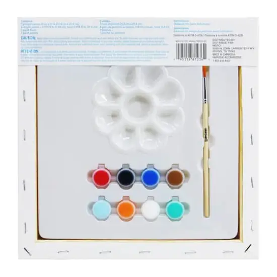 Go Team Canvas Painting Kit by Creatology&trade; {6}