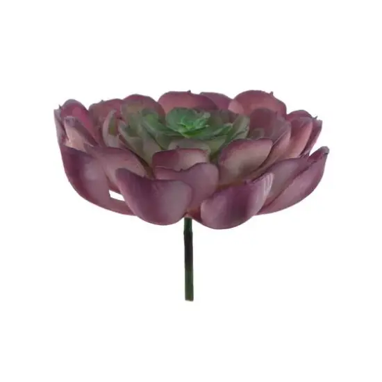 Flora Bunda&reg; Red Large Echeveria Powder Succulent Pick, 6ct. {3}