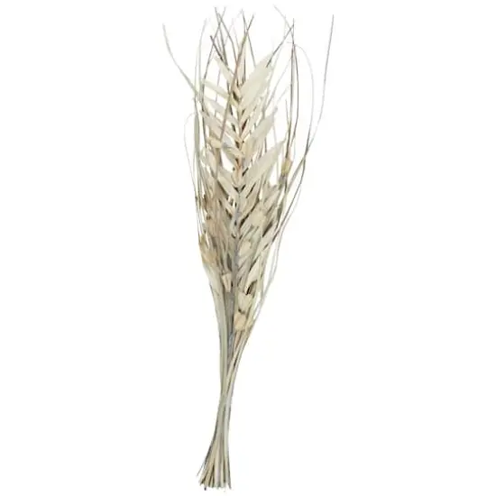 40" Beige & Gray Dried Plant Floral Grass Bouquet Palm Leaf Natural Foliage {1}