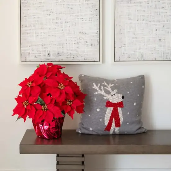 19" Artificial Poinsettia Arrangement in Red Wrapped Planter {3}