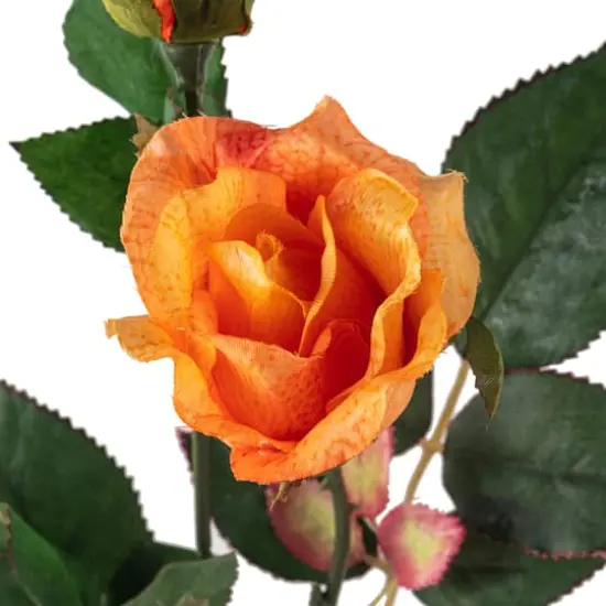 Rose Spray by Ashland&reg; Salmon {4}