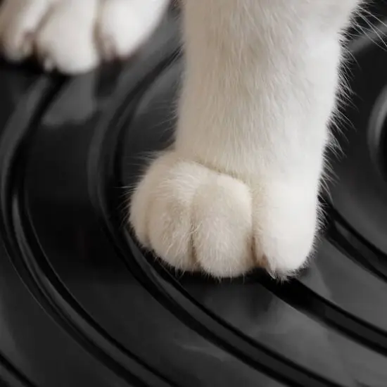 IRIS&reg; 46qt. Cat Litter Box with Top Entry Lid {10}