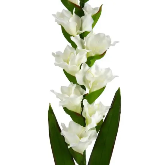 White Gladiolus Flower Stems, 3ct. {4}