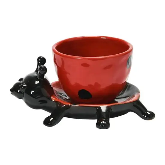 Hello Honey&reg; 3" Stoneware Ladybug Planter {5}