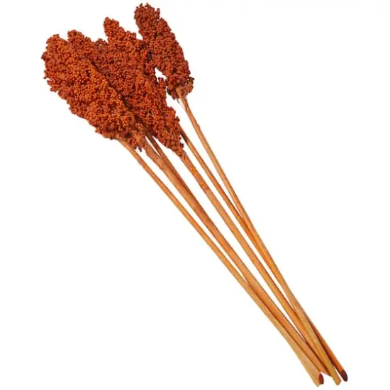 Dried Corn Maize Natural Foliage with Long Stems Orange {4}