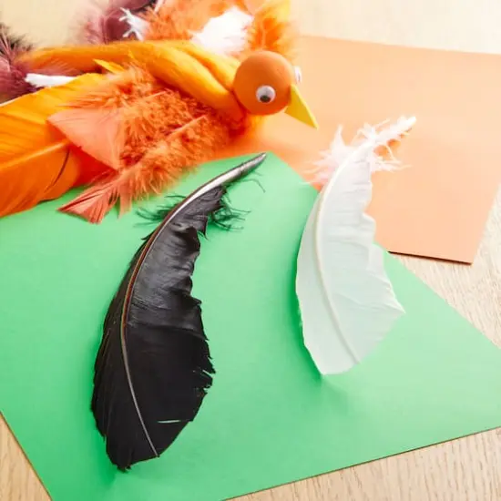Black & White Quill Feather Mix by Creatology&trade; {3}