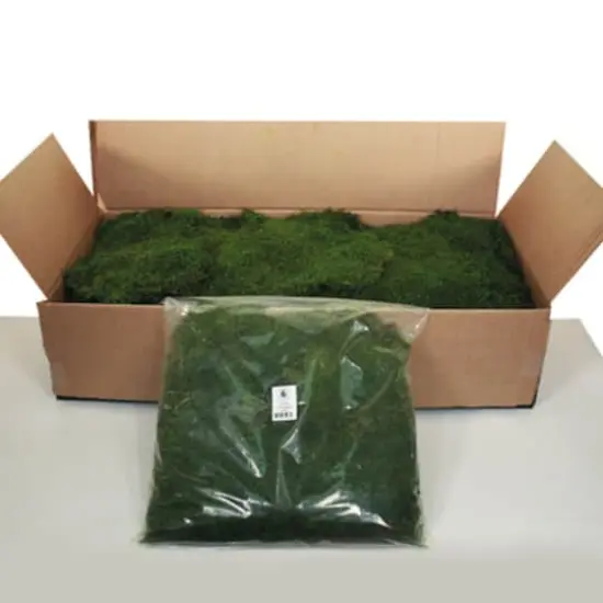 Preserved Green Sheet Moss Bulk Case {1}