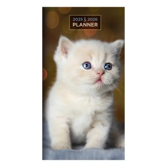 TF Publishing 2025-2026 Small Kitten Monthly Pocket Planner {1}
