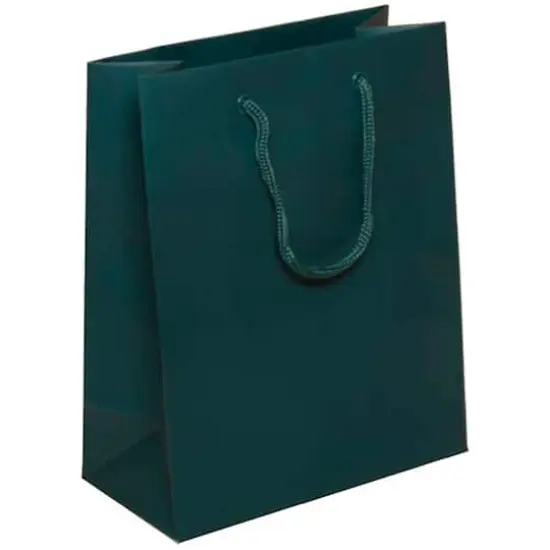 JAM Paper Medium Gift Bags with Rope Handles, 100ct. Teal Matte {1}