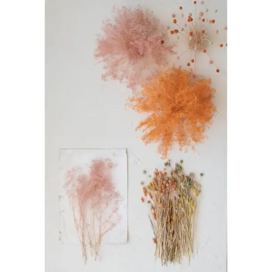 Hello Honey&reg; 19.5" Dried Natural Bunny Tail Grass Bunch, 3ct. {4}