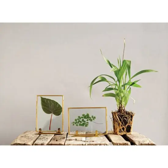 Hello Honey&reg; 2 Pack Glass & Brass Photo Frames with Stands {3}