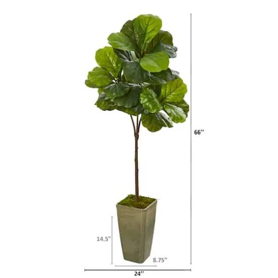 5.5ft. Fiddle Leaf Artificial Tree in Planter {3}