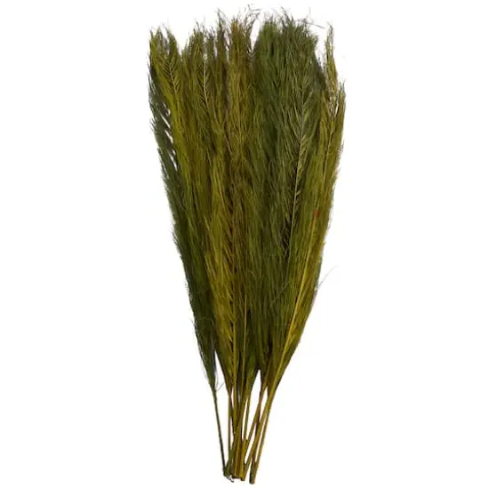 35" Natural Dried Palm Leaf Bundle with Feather-Inspired Stems Green {6}