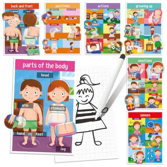 Headu How We Are Made My First Human Body Game {3}