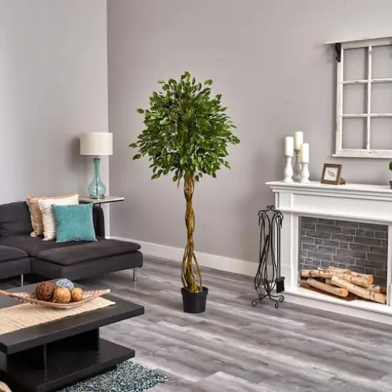 4ft. Potted Woven Trunk Ficus Tree {4}