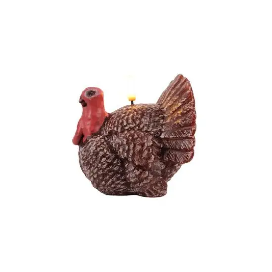 4.5" Turkey LED Candle by Ashland&reg; {4}