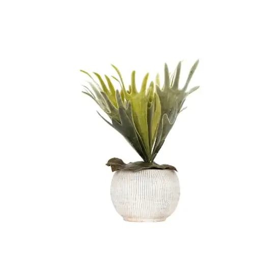 Hello Honey&reg; 5" Distressed Cream Fluted Texture Terra Cotta Planter {7}