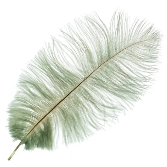 John Bead 11"-13" Ostrich Drab Feather Seafoam {1}