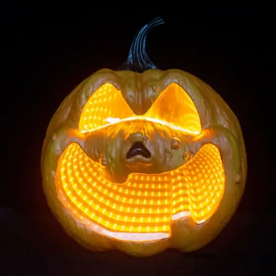 11" Orange Pumpkin LED Infinity Mirror by Ashland&reg; {1}