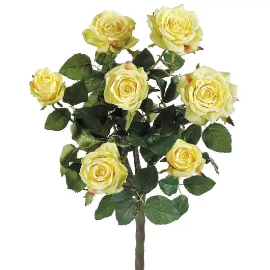 Yellow Confetti Rose Bush {1}