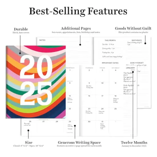 TF Publishing 2025 Color Swoops Large Monthly Planner {6}