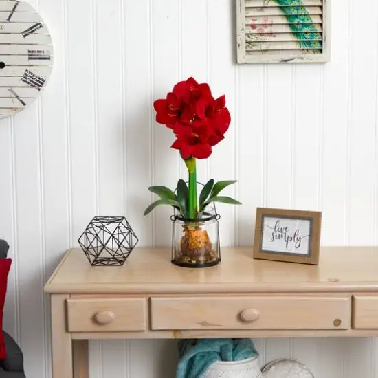 24" Red Amaryllis in Glass Vase {7}