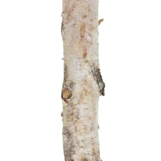 16" Birch Log by Ashland&reg; {3}