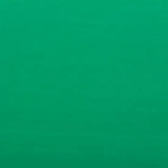 JAM Paper Tissue Paper, 480 Sheets Green {5}