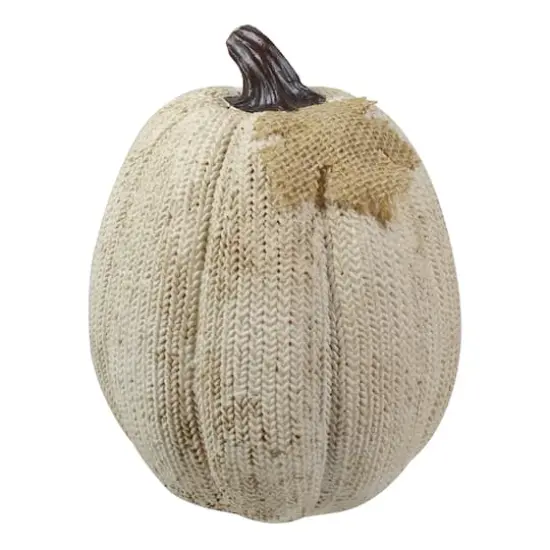6.25" White Pumpkin Autumn Harvest Thanksgiving Tabletop Decoration {1}